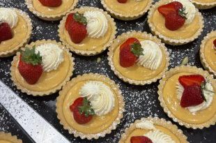 Tanglewood Has Taste: Holbeach Meadows Hosts Picnic Celebration