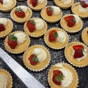 Tanglewood Has Taste: Holbeach Meadows Hosts Picnic Celebration